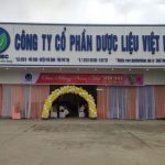 Công ty cổ phần dược liệu Việt Nam