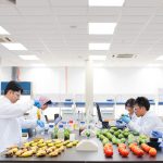 Những yêu cầu của tiêu chuẩn GMP trong nhà máy thực phẩm